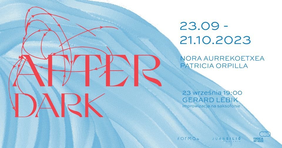 After Dark Exhibition Opening